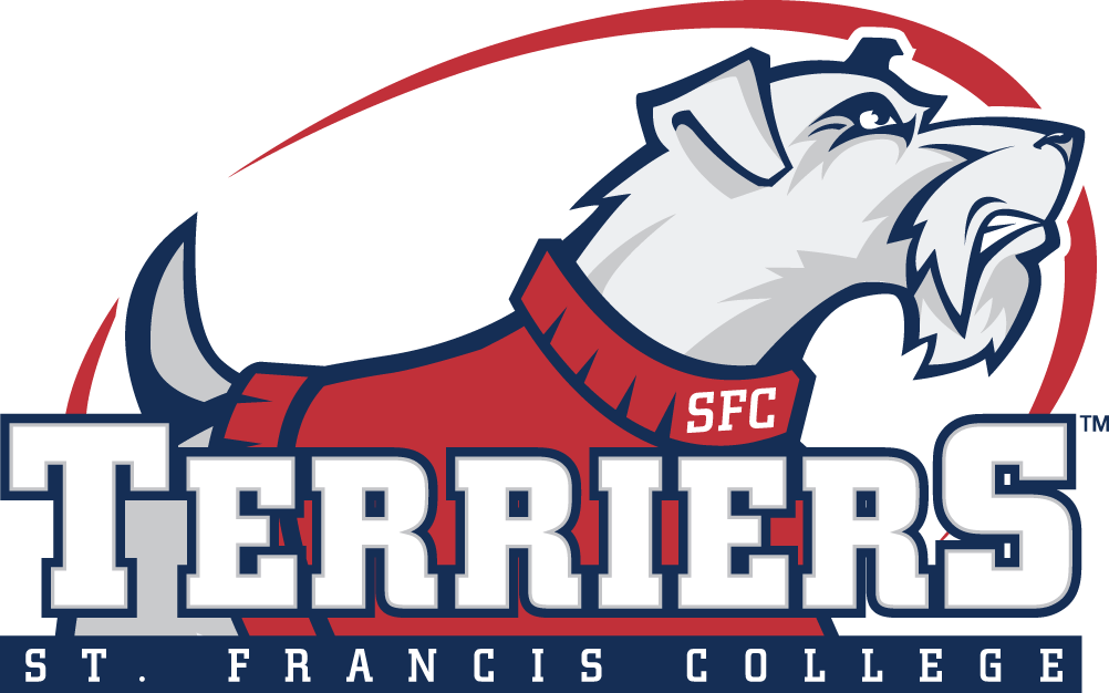 St. Francis Terriers T shirt DIY iron-ons